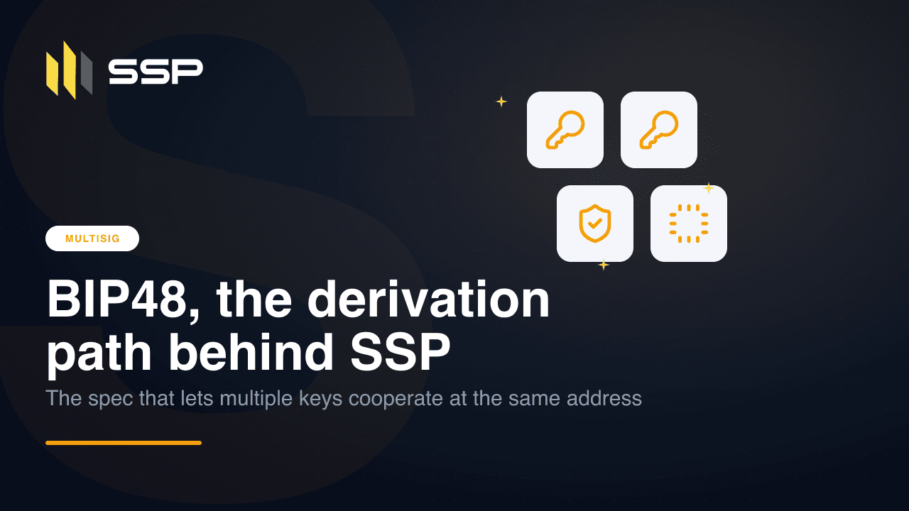 Navy SSP cover with key, shield and CPU icons on a dark gradient, the BIP48 chapter of the Multisig Deep Dive series