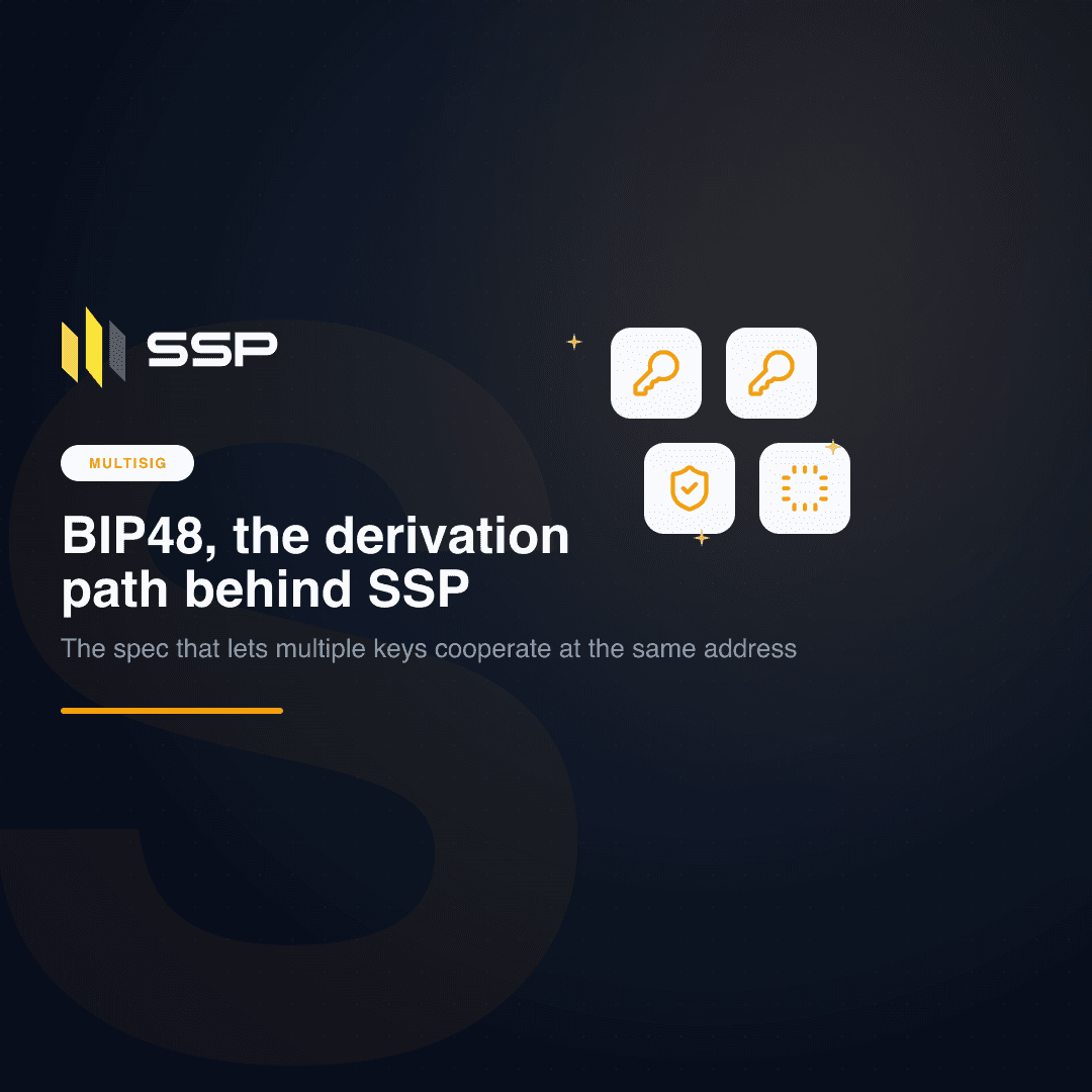 Navy SSP cover with key, shield and CPU icons on a dark gradient, the BIP48 chapter of the Multisig Deep Dive series