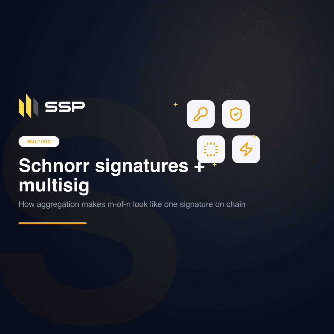 Navy SSP cover with key, shield, CPU and lightning icons on a dark gradient, the Schnorr chapter of the Multisig Deep Dive series