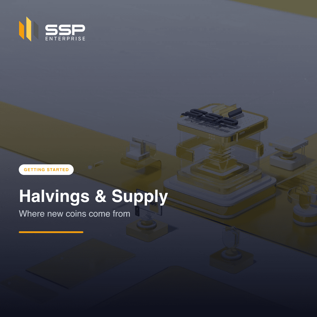 Ảnh bìa vuông SSP Academy: halving và lịch phát hành