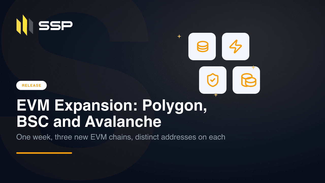 RELEASE badge with stacked-cylinder database, lightning bolt, shield-with-check and stacked-coins icons over the headline 'EVM Expansion: Polygon, BSC and Avalanche'.