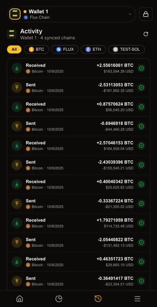 La schermata delle attività in SSP Wallet, in modalità scura